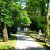 Walkway to the church